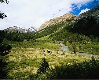 日本游戏厂商LEVEL-5开启25周年纪念网站