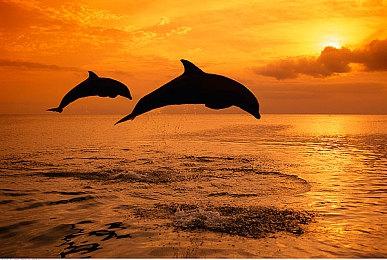 《潜行者》风格射击网游《荒原先驱》10月开启BETA公测