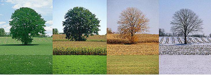 TGA 2022：《勇敢的心：回家》即将登陆移动端